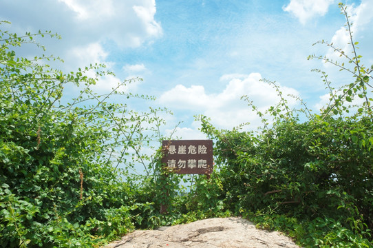 园林风景