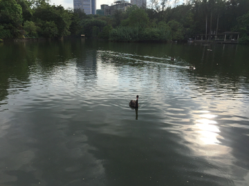 动物园