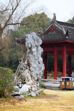 南京 紫金山 公园