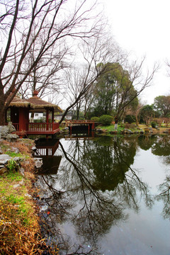 南京 紫金山 公园