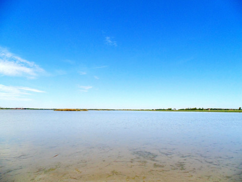 沼泽湿地