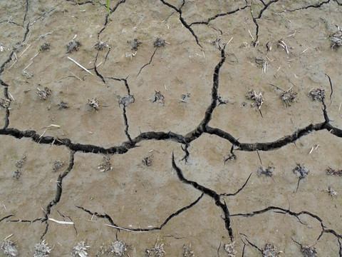土壤干旱裂缝