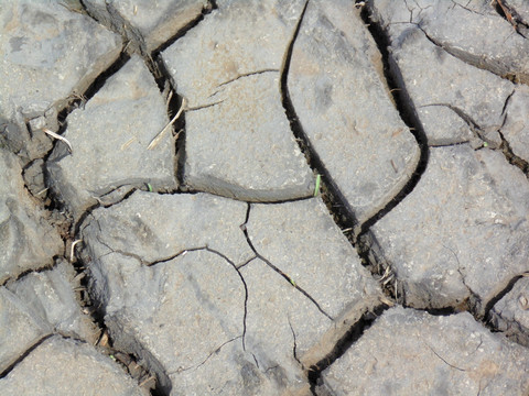 土壤干旱龟裂素材图