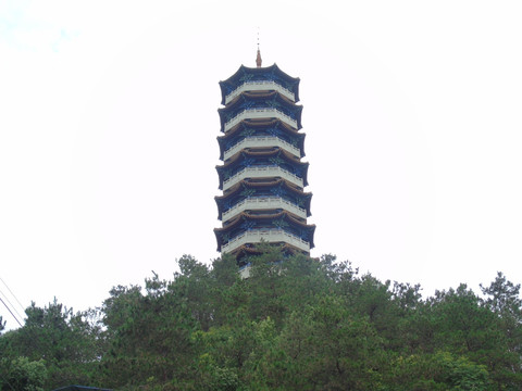 塔