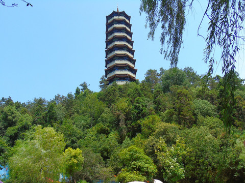 塔