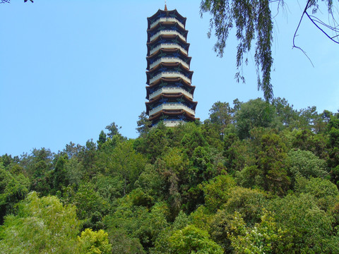 塔