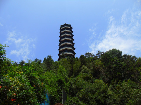 塔