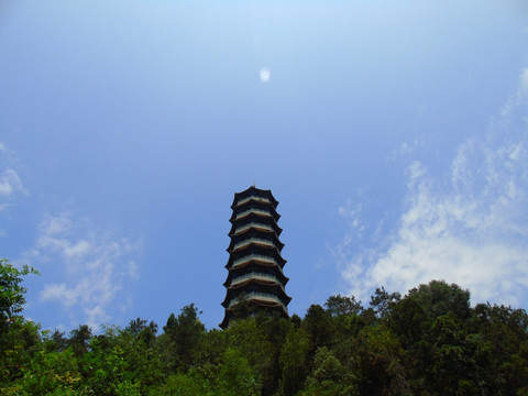 塔