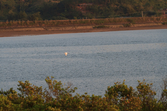 防城港 红树林风光