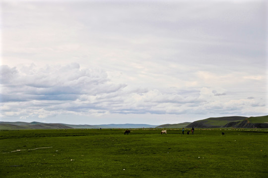 内蒙古兴安盟阿尔山草原