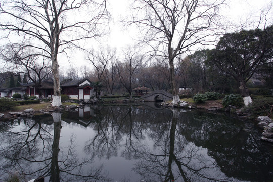 南京 总统府 园林 公园