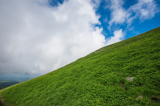 高山草场