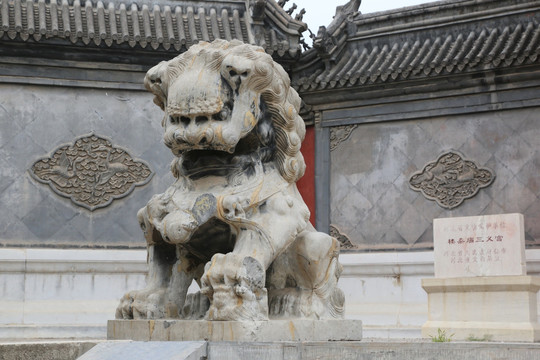三义宫前石雕狮子