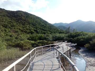 竹栈道风景