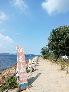 海边道路