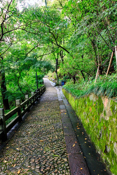 登山台阶 山路