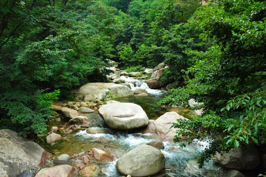 林间流水