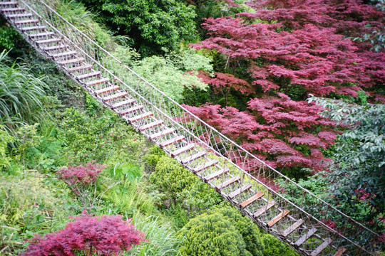 温州雁荡山