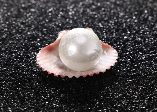 珍珠贝壳