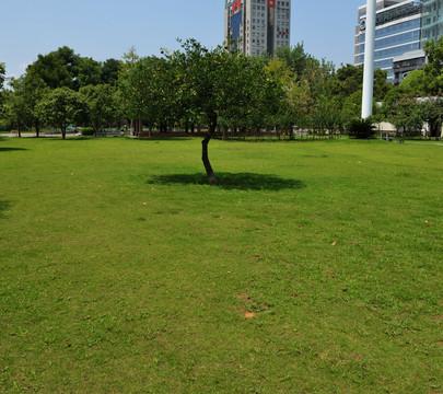 公园 绿地