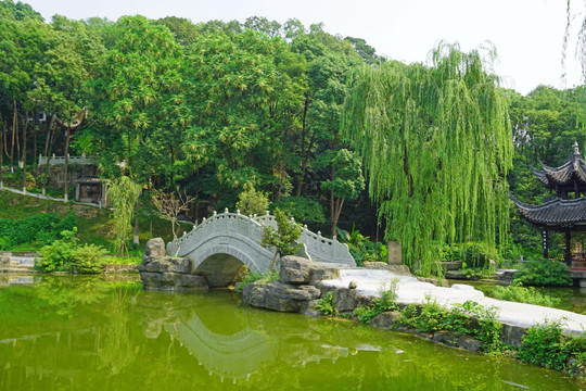 中式园林景观 池塘水景 石拱桥