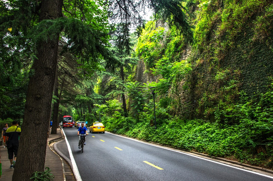 南京明城墙林荫路