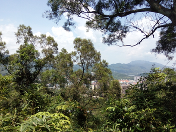 观音山风景