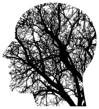 创意图形头脑血管树杈