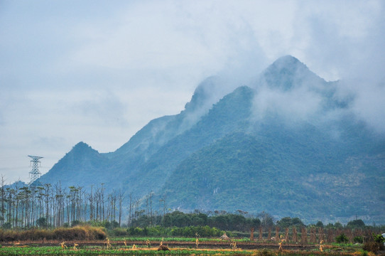 雾色山景