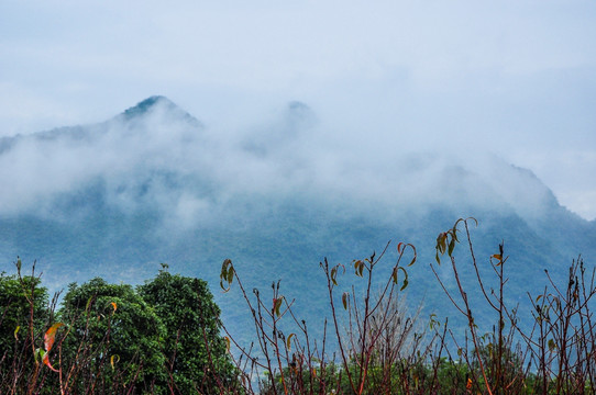 雾色山景