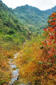 山岭古道