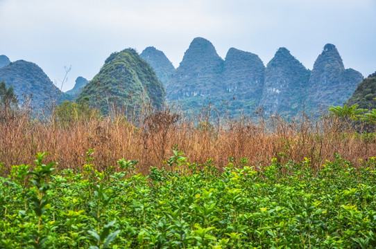 美丽山景