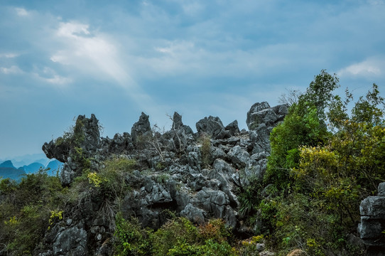 美丽山景