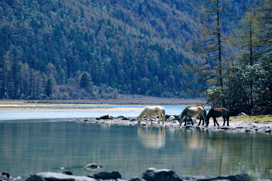 莲花湖风光