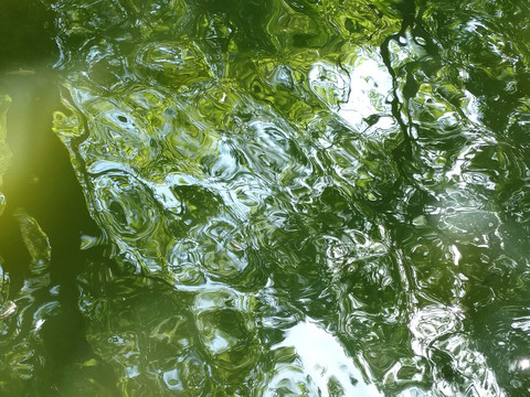 翠绿波光粼粼的水面