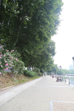 甘棠湖湖堤风光