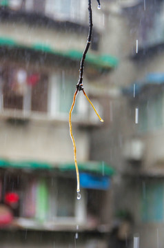 下雨天的窗台