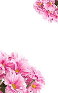 浪漫粉红色花卉背景