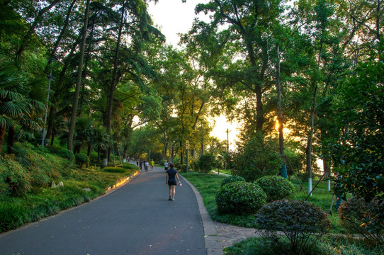 夕阳下的环湖路