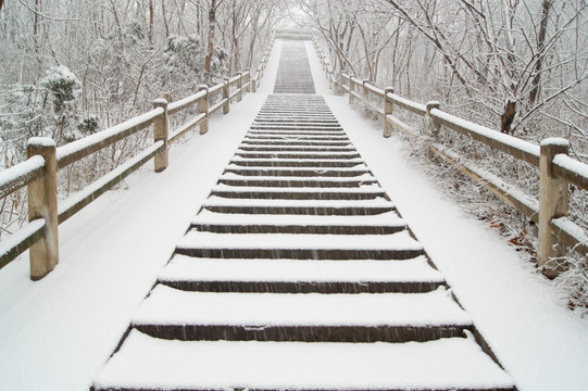 雪景台阶