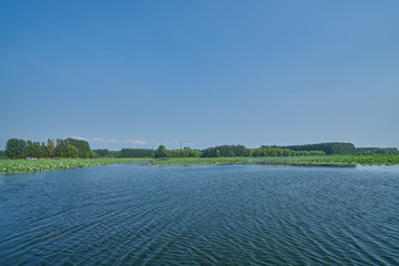 微山湖风光