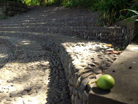 石头铺成的台阶