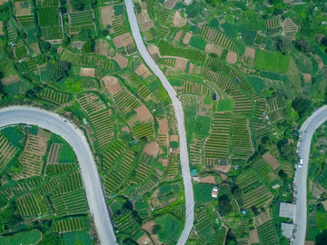 盘山路