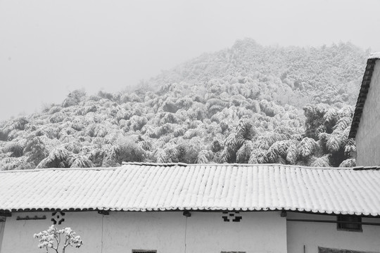 冬雪中乡村老宅