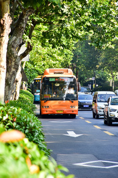 青岛城市公交车