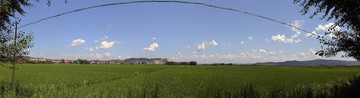 拉古稻田风景图片