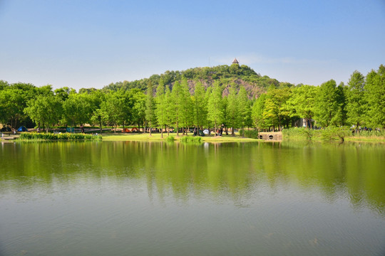 植物园