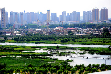 哈尔滨湿地景观