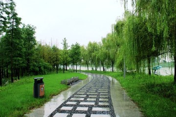 滁河湾湿地公园