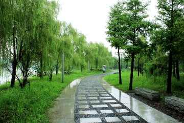 滁河湾湿地公园